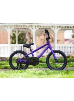 2023 BATCH 16" KIDS BIKE 9 2023 BATCH 16" KIDS BIKE -Sports Equipment Shop batch bicycles 2023 batch 16 kids bike 2