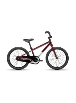2023 BATCH 20" KIDS BIKE -Sports Equipment Shop batch bicycles 2023 batch 20 kids bike 2