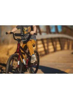 2023 BATCH 20" KIDS BIKE -Sports Equipment Shop batch bicycles 2023 batch 20 kids bike 5