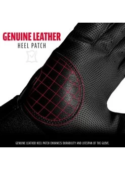 FRANKLIN 2ND SKINZ BATTING GLOVE ADULT -Sports Equipment Shop franklin franklin 2nd skinz batting glove adult 2