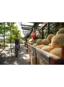 2021 NORCO SCENE 1 -Sports Equipment Shop norco 2021 norco scene 1 4